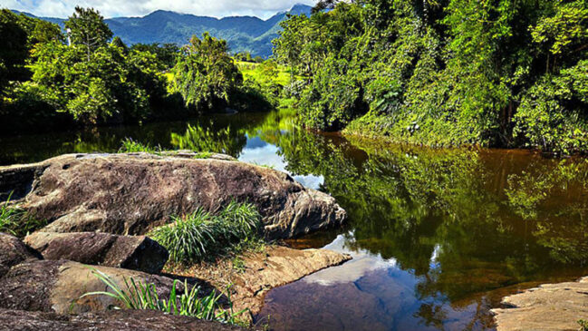 Localizada entre o litoral sul de São Paulo e o Vale do Ribeira, a cidade de Itariri encanta turistas como uma opção de