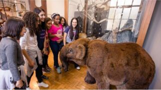 Museu promete oferecer muita diversão e aprendizado para todas as idades
