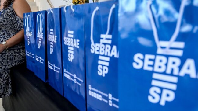 Voltado para empreendedores, empresários, gerentes e funcionários de MEI, Sebrae abre cursos gratuitos