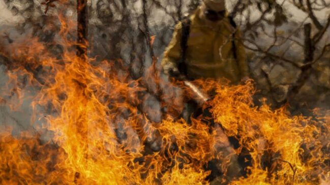 Brigadistas combatem incêndio