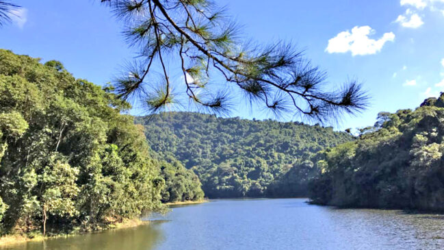 Parque Estadual da Cantareira, em São Paulo