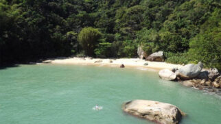 Isolada, praia do Moisés é caracterizada por ser cercada de verde e possuir mar calmo
