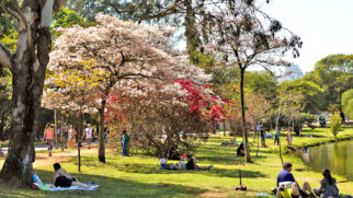 Forte calor que marcou a capital paulista neste fim de semana, com temperaturas de até 32&ordm;C, vai embora