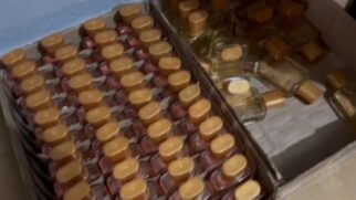 Produtos foram encontrados em imóveis nas Vilas Libanesa, Penha, Penteado e Danúbio Azul