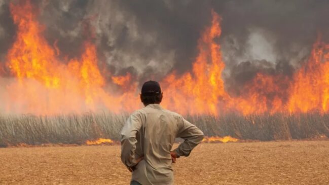 O Inmet utiliza um índice de flamabilidade para determinar o grau de perigo de incêndios