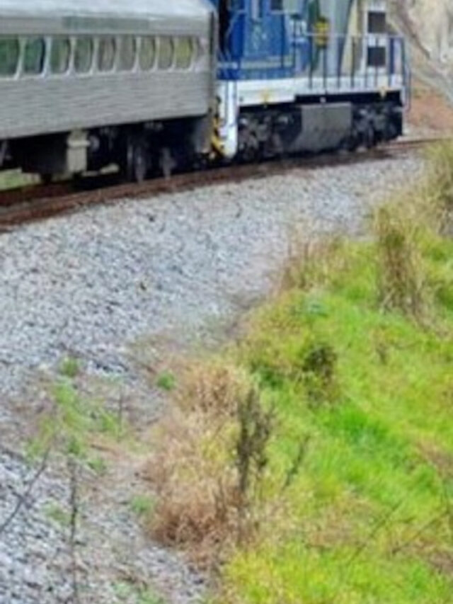 Descubra o passeio de trem com comida e bebida à vontade em SP