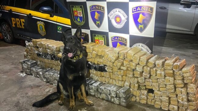 Ao vistoriar os tanques de combustível, as equipes encontraram centenas de tabletes de maconha