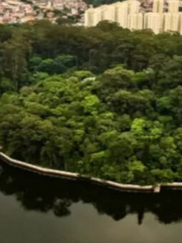 São Paulo além da selva de pedra: veja os bairros mais verdes da Capital