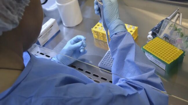 De acordo com Couto, a pandemia de 2028 estaria relacionada a questões alimentares, possivelmente com origem na carne suína ou de frango.