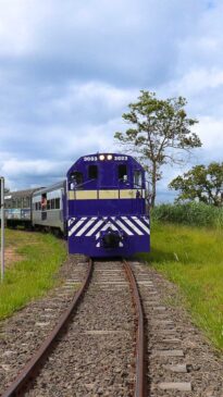 Após o almoço na estação de Itu, o passeio segue para Salto, com visita ao Complexo da Cachoeira, um dos principais cartões-postais da cidade