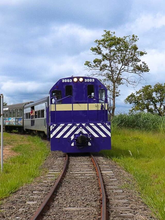Trem da República tem passeio da Barra Funda a Parque dos Dinossauros