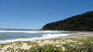 Guardada quase que como um segredo entre os moradores e visitantes de Ubatuba, a Praia Brava do Camburi é uma opção que deve ser visitada principalmente por quem busca um local mais privativo