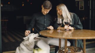 Para os paulistanos que não querem deixar seus amigos de quatro patas em casa, há uma variedade de locais que oferecem não apenas um cardápio delicioso, mas também um ambiente acolhedor para os pets. 