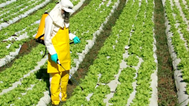 Organização Internacional do Trabalho (OIT) afirma que venenos agrícolas causam 70 mil intoxicações agudas e crônicas por ano
