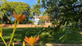 Fazenda do Lapa hoje foca em agrofloresta e preservação ambiental