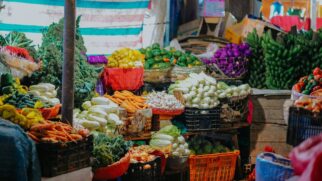 Desde 2008, Brasil se transformou no maior consumidor de venenos agrícolas do mundo