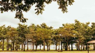 Parque Praia do Sol foi inaugurado em julho de 2009