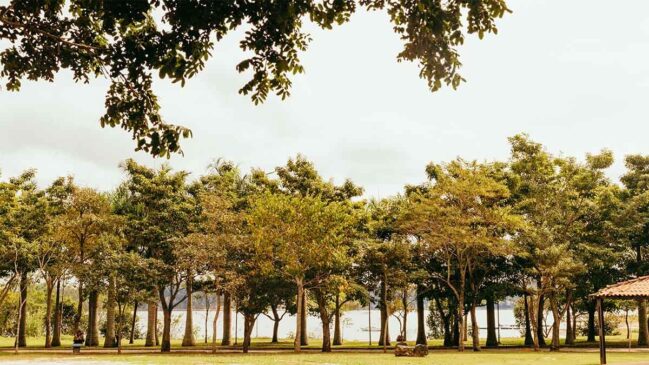 Parque Praia do Sol foi inaugurado em julho de 2009