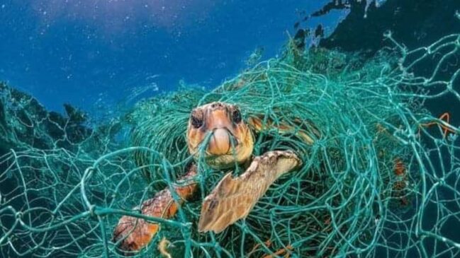 A pesca fantasma, chamada de ghost fishing em inglês, é o que acontece quando os equipamentos desenvolvidos para capturar animais marinhos são abandonados no mar.
