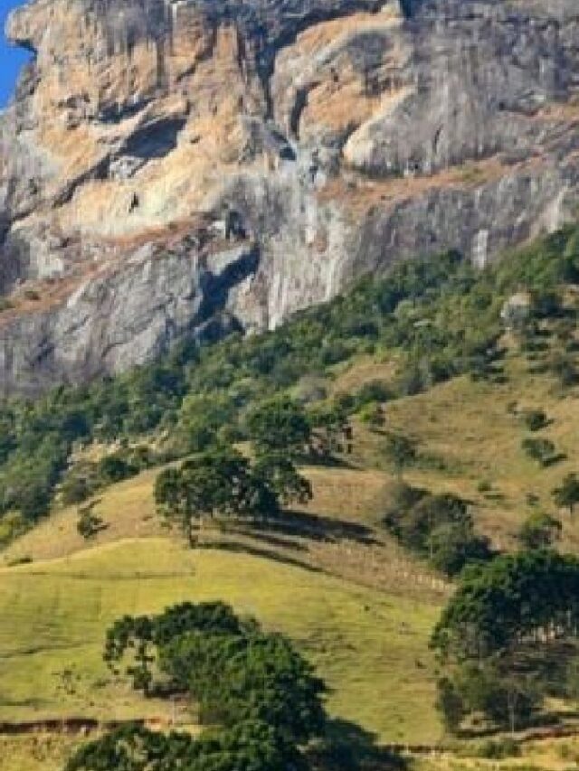 Cidade em SP é conhecida como ‘Toscana brasileira’, rica em vinhos e azeites