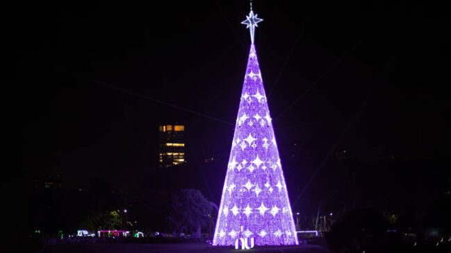 Na data da inauguração, além da iluminação da árvore, acontecerá o tradicional show de luzes no lago