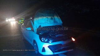 Motorista seguia na rodovia e não conseguiu desviar do homem que atravessava a avenida