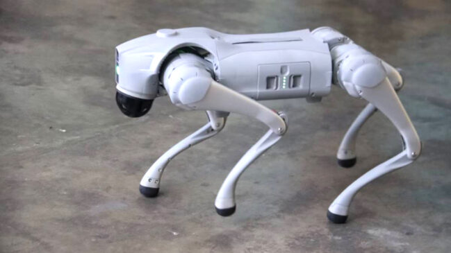 Cão robô GCM
