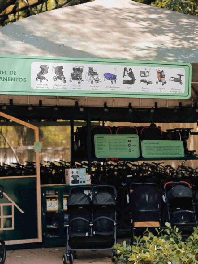 Parque Ibirapuera oferece aluguel de carrinho de bebê