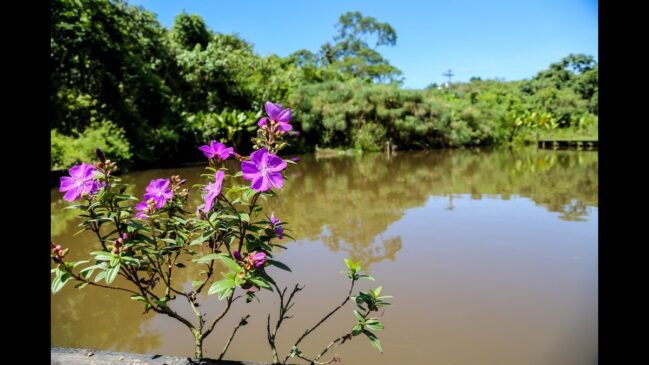 Parque do Guarapiranga está entre os parques que tiveram alteração no horário de funcionamento