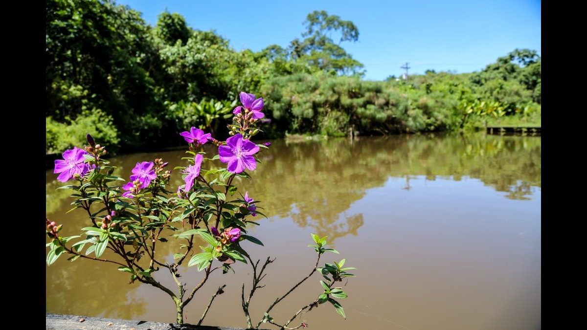 Parque do Guarapiranga está entre os parques que tiveram alteração no horário de funcionamento