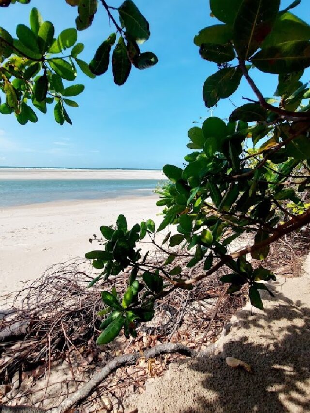 Descubra a cidade do litoral onde foi gravada a novela Tieta