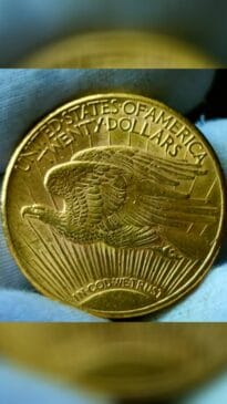 Após o fim das moedas dos Estados Unidos em ouro, nenhuma outra jamais foi cunhada, com exceção de séries limitadas de colecionador. Assim, restaram praticamente só as cerca de 10 moedas que desapareceram "misteriosamente" da Casa da Moeda dos EUA.