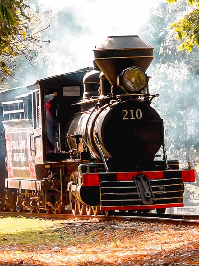 Passeio de trem de Miguel Pereira: conheça o ‘Expresso de Hogwarts’ brasileiro