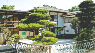 Para os amantes da cultura japonesa, o Pavilhão Japonês é uma das paradas obrigatórias dentro do Parque Ibirapuera