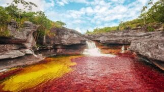 O que torna o Caño Cristales tão especial são os núcleos repleto de cores nas águas, que parecem refletir um arco-íris nas profundezas do rio. 