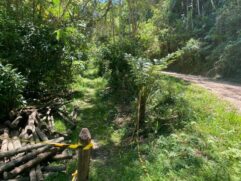 Grupo se perde na trilha de Juquitiba, com sentido a Itanhaém, no litoral de São Paulo