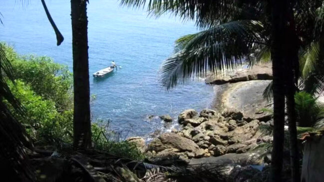 Ilha paradisíaca está à venda por R$ 4 milhões em Guarujá, no litoral sul de São Paulo