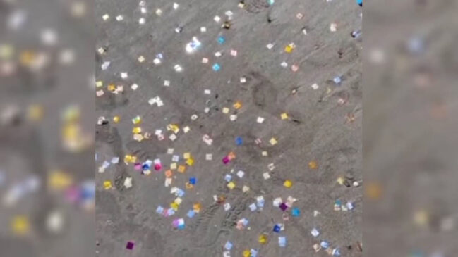 Influenciadora polui praia em Ubatuba com confetes para celebrar 200 mil seguidores