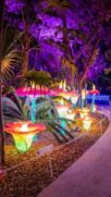 Festival de luzes internacional chega em São Paulo