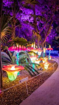 Festival de luzes internacional chega em São Paulo