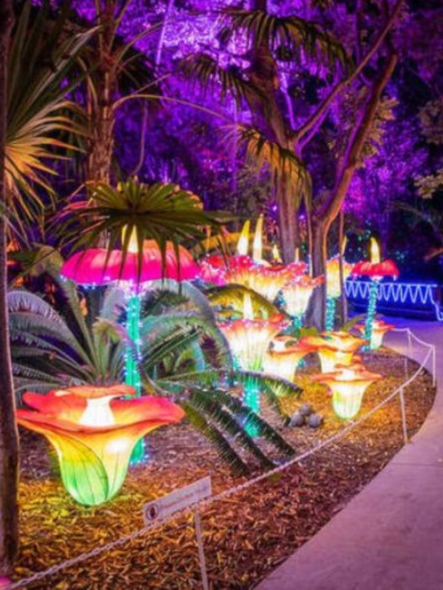 Festival de luzes internacional chega a São Paulo