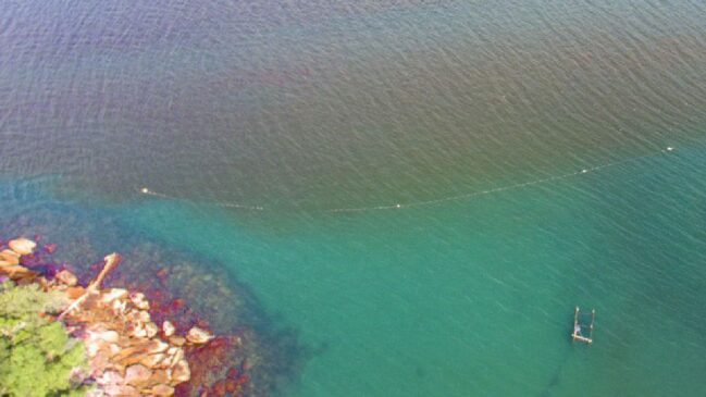 Descubra o fenômeno da maré vermelha e saiba quais os riscos do cenário no litoral de SP