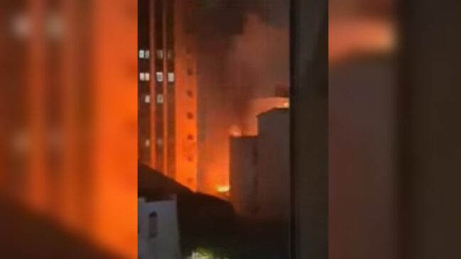 Ao todo, foram mobilizadas sete viaturas para conter as chamas