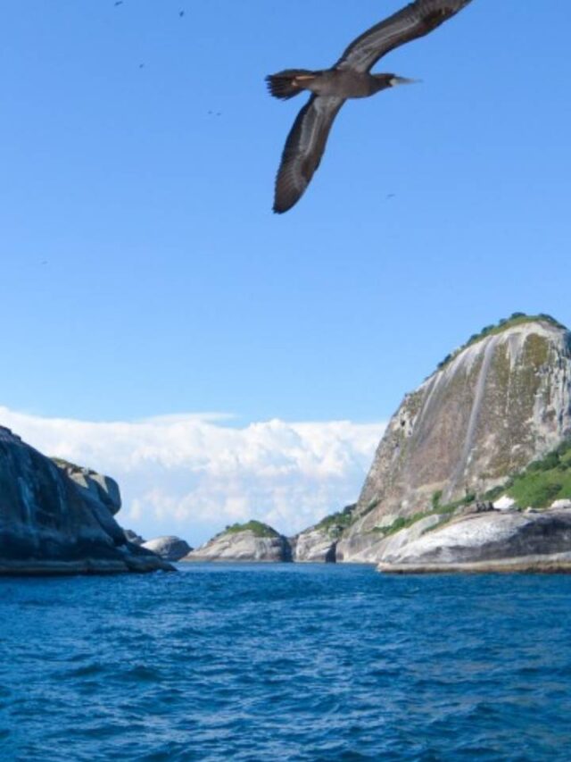 Saiba onde fica a ilha mais encantadora do litoral de SP