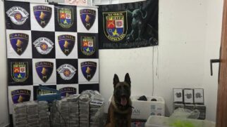 Ação contou com o apoio da equipe K9, liderada pelo cão farejador Thor