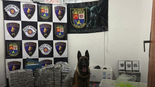 Ação contou com o apoio da equipe K9, liderada pelo cão farejador Thor