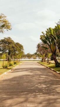 Muito comum no interior, as praias de água doce fazem sucesso em cidades quentes no oeste do Estado. Mas, você sabia que é possível aproveitar um parque com acesso a uma prainha dentro da cidade de São Paulo? - Foto: Daniel Reis/Secretaria do Verde e do Meio Ambiente