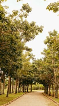 O parque conta com diversas atrações e, por meio dele, é possível acessar um trecho da represa do Guarapiranga, conhecido como "Prainha" - Foto: Daniel Reis/Secretaria do Verde e do Meio Ambiente