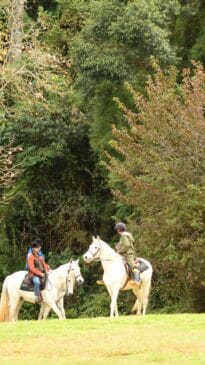 Para os amantes de aventura, a opção é o Tarundu. Um espaço com mais de 25 atividades de lazer em uma área de 500 m² de mata preservada. Entre as atrações, há passeios de cavalo, tirolesas, boia cross e diversos tipos de voos de balão - Foto: Divulgação Tarundu