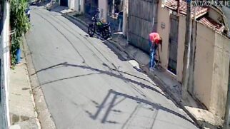 Nas imagens é possível ver o cantor atrair os gatos e na sequência agredi-los